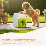 Fetch N Treat Dog Toy - Interactive Ball Roll and Reward Pet Play - All For Paws